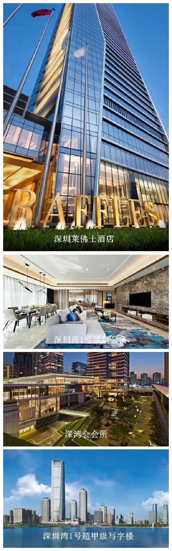 巅峰国际官网股份打造的深圳湾1号系列工程.jpg