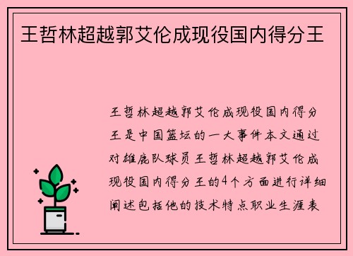 王哲林超越郭艾伦成现役国内得分王