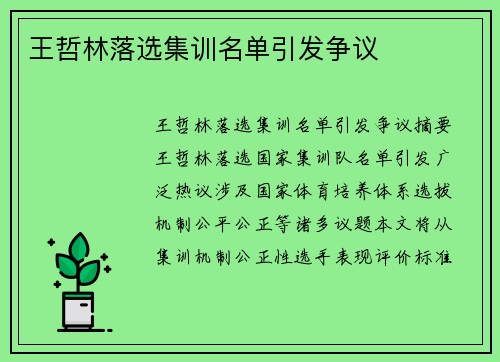 王哲林落选集训名单引发争议